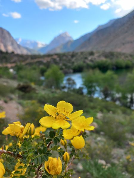 6-Day Northern Tajikistan & Iskanderkul Tour hiking route in Tajikistan, image 6